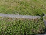 image of grave number 340530